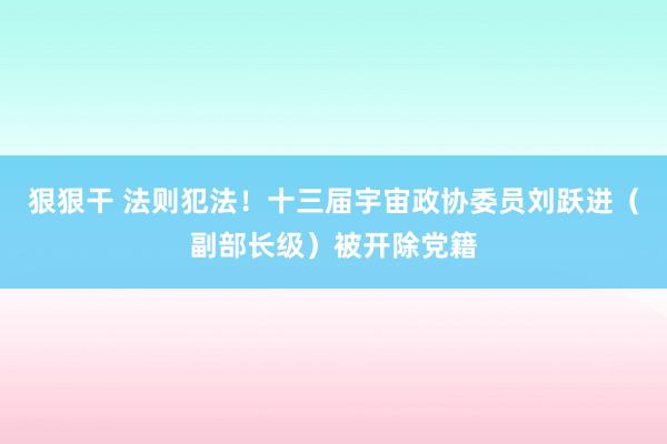狠狠干 法则犯法！十三届宇宙政协委员刘跃进（副部长级）被开除党籍