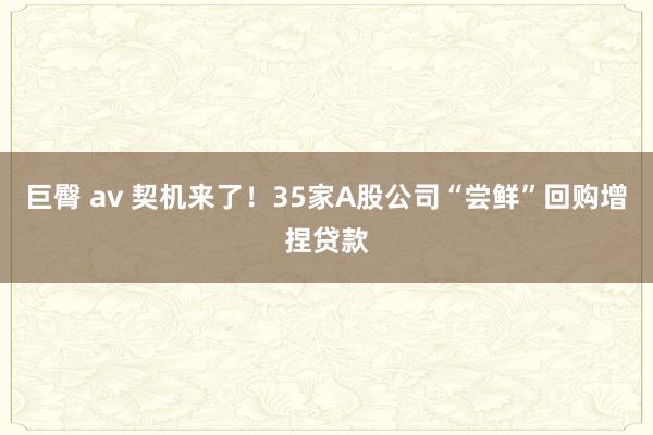 巨臀 av 契机来了！35家A股公司“尝鲜”回购增捏贷款