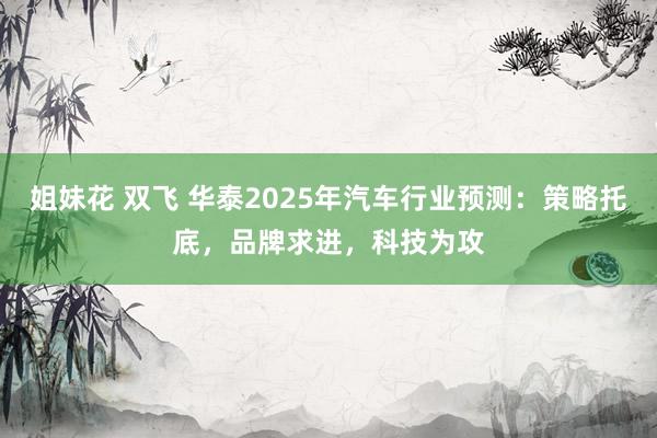 姐妹花 双飞 华泰2025年汽车行业预测：策略托底，品牌求进，科技为攻