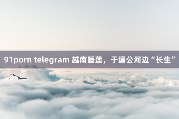 91porn telegram 越南睡莲，于湄公河边“长生”