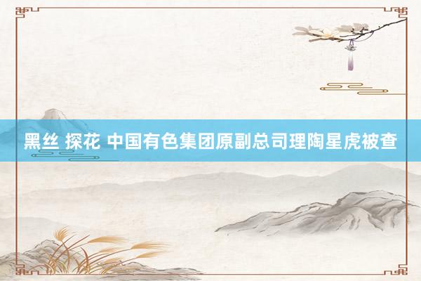 黑丝 探花 中国有色集团原副总司理陶星虎被查