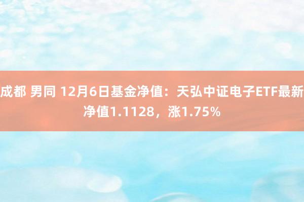成都 男同 12月6日基金净值：天弘中证电子ETF最新净值1.1128，涨1.75%