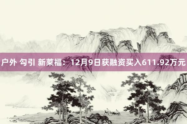 户外 勾引 新莱福：12月9日获融资买入611.92万元