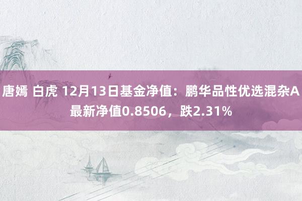 唐嫣 白虎 12月13日基金净值：鹏华品性优选混杂A最新净值0.8506，跌2.31%