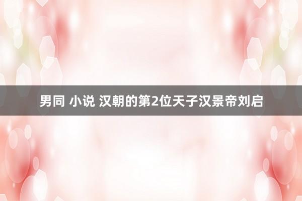 男同 小说 汉朝的第2位天子汉景帝刘启