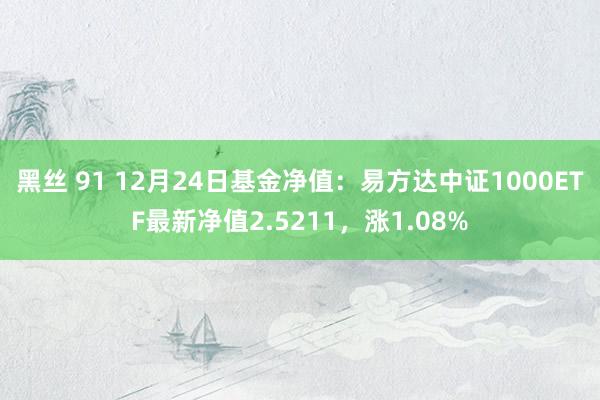 黑丝 91 12月24日基金净值：易方达中证1000ETF最新净值2.5211，涨1.08%