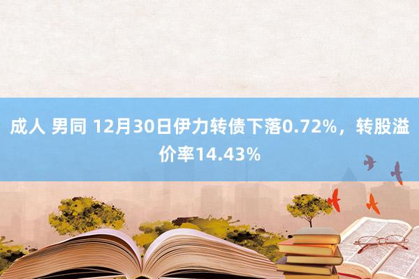 成人 男同 12月30日伊力转债下落0.72%,转股溢价率14.43%