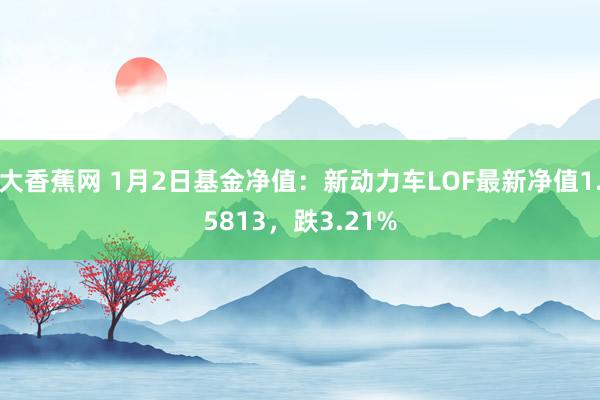 大香蕉网 1月2日基金净值：新动力车LOF最新净值1.5813，跌3.21%