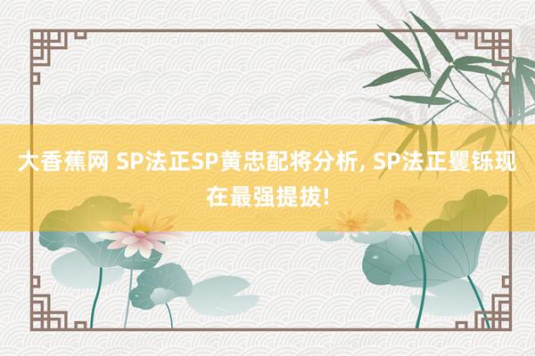 大香蕉网 SP法正SP黄忠配将分析， SP法正矍铄现在最强提拔!