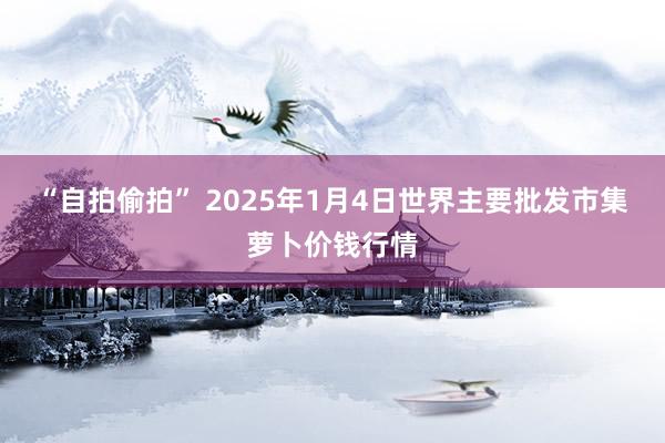 “自拍偷拍” 2025年1月4日世界主要批发市集萝卜价钱行情