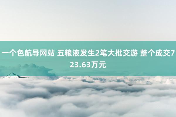 一个色航导网站 五粮液发生2笔大批交游 整个成交723.63万元
