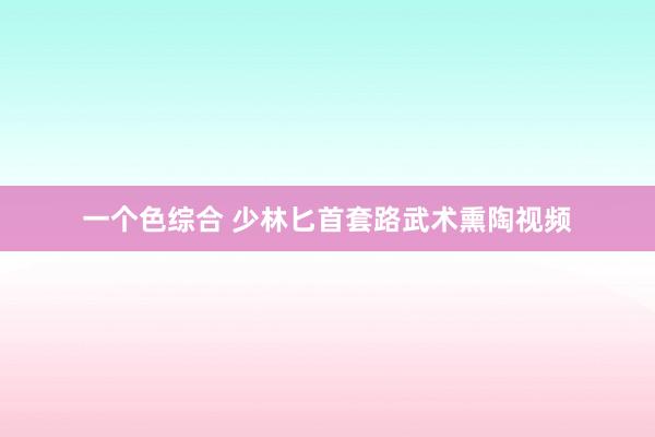 一个色综合 少林匕首套路武术熏陶视频