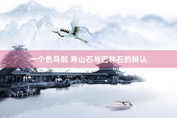一个色导航 寿山石与巴林石的辩认