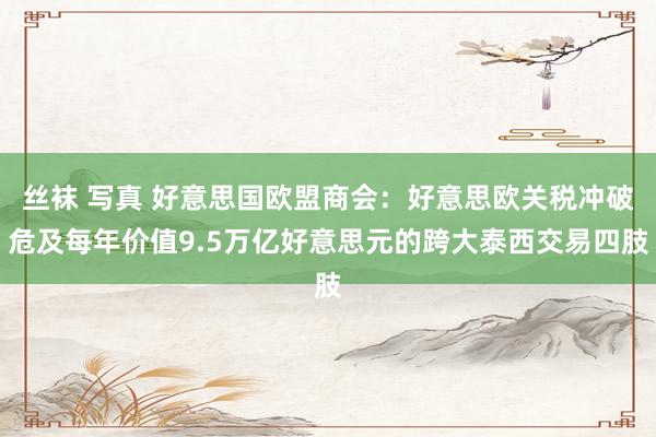 丝袜 写真 好意思国欧盟商会：好意思欧关税冲破危及每年价值9.5万亿好意思元的跨大泰西交易四肢