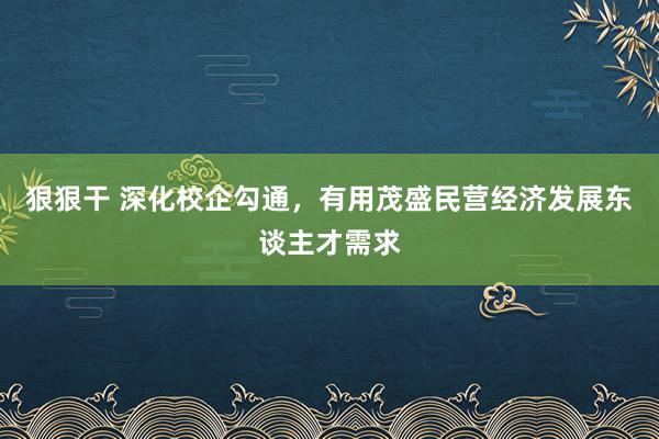 狠狠干 深化校企勾通，有用茂盛民营经济发展东谈主才需求