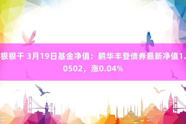 狠狠干 3月19日基金净值：鹏华丰登债券最新净值1.0502，涨0.04%