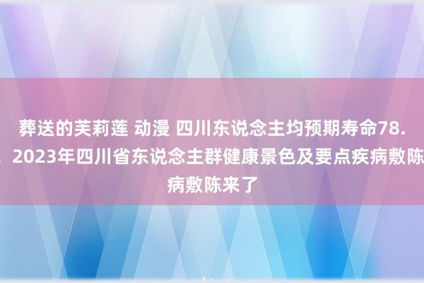 葬送的芙莉莲 动漫 四川东说念主均预期寿命78.5岁！2023年四川省东说念主群健康景色及要点疾病敷陈来了