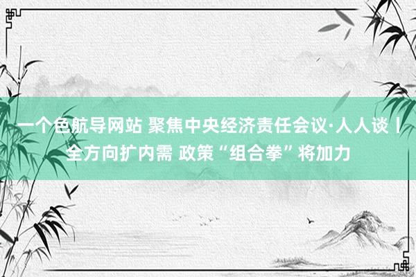 一个色航导网站 聚焦中央经济责任会议·人人谈丨全方向扩内需 政策“组合拳”将加力