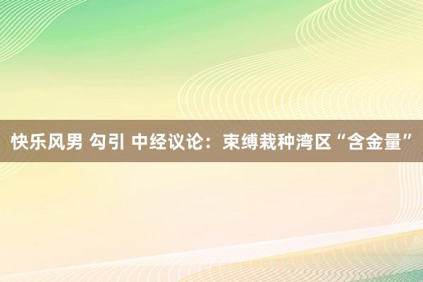 快乐风男 勾引 中经议论：束缚栽种湾区“含金量”