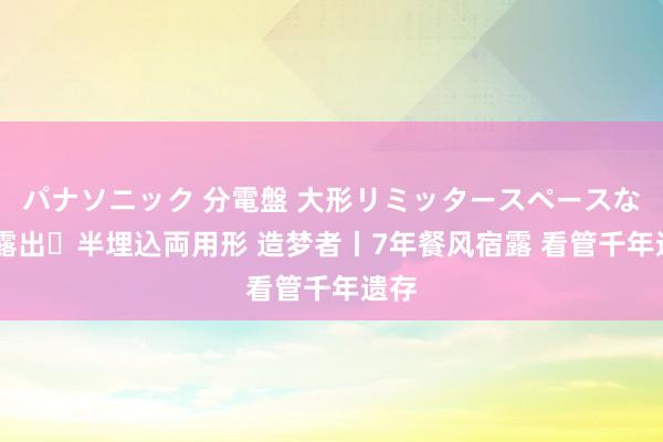 パナソニック 分電盤 大形リミッタースペースなし 露出・半埋込両用形 造梦者丨7年餐风宿露 看管千年遗存