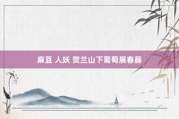 麻豆 人妖 贺兰山下葡萄展春藤