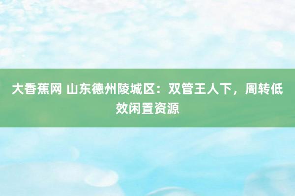 大香蕉网 山东德州陵城区：双管王人下，周转低效闲置资源