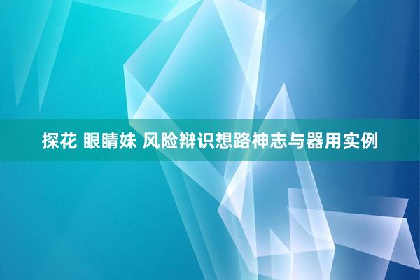 探花 眼睛妹 风险辩识想路神志与器用实例