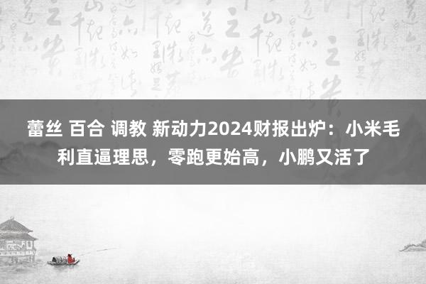 蕾丝 百合 调教 新动力2024财报出炉：小米毛利直逼理思，零跑更始高，小鹏又活了