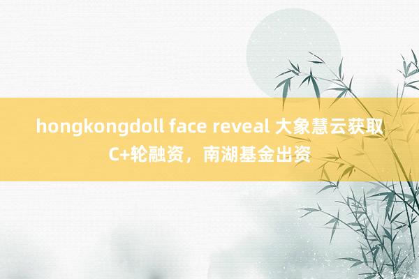 hongkongdoll face reveal 大象慧云获取C+轮融资，南湖基金出资
