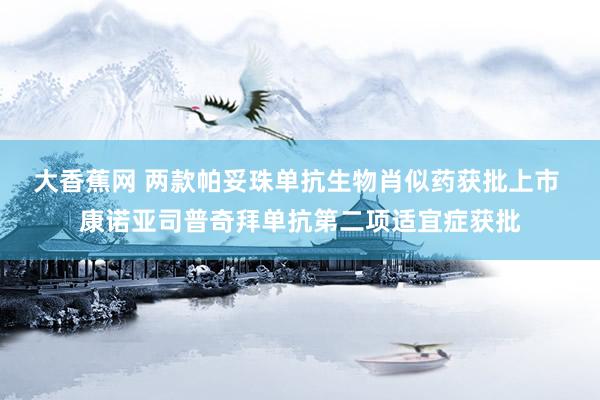大香蕉网 两款帕妥珠单抗生物肖似药获批上市 康诺亚司普奇拜单抗第二项适宜症获批