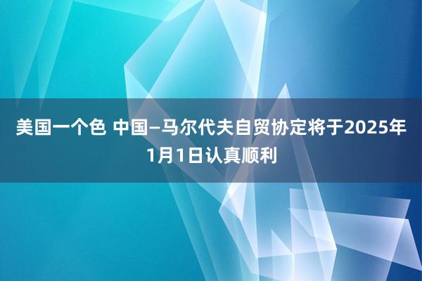 美国一个色 中国—马尔代夫自贸协定将于2025年1月1日认真顺利
