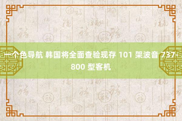 一个色导航 韩国将全面查验现存 101 架波音 737-800 型客机