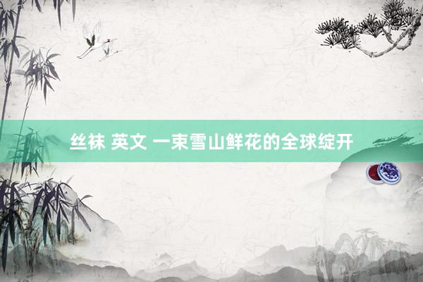 丝袜 英文 一束雪山鲜花的全球绽开