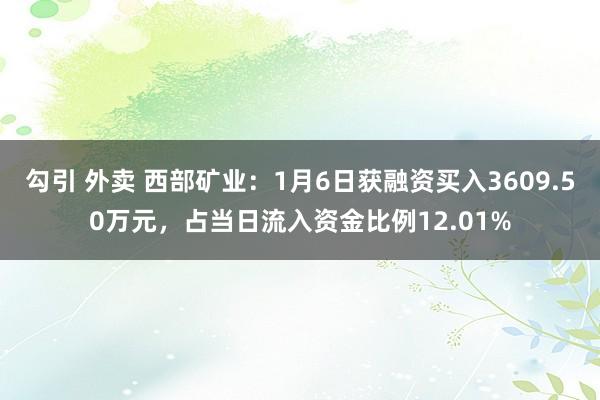 勾引 外卖 西部矿业：1月6日获融资买入3609.50万元，占当日流入资金比例12.01%