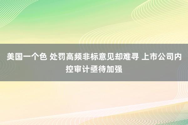 美国一个色 处罚高频非标意见却难寻 上市公司内控审计亟待加强