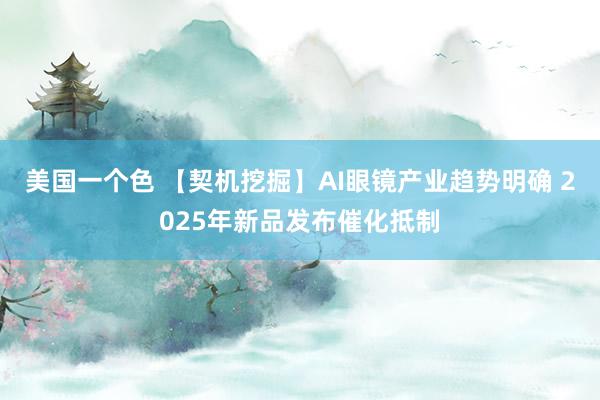 美国一个色 【契机挖掘】AI眼镜产业趋势明确 2025年新品发布催化抵制