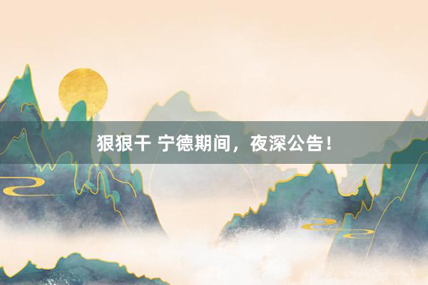 狠狠干 宁德期间，夜深公告！