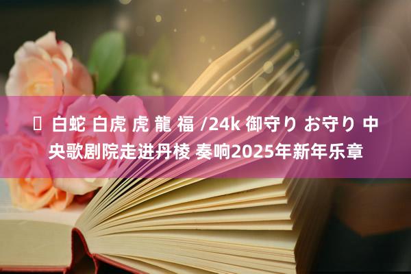 ✨白蛇 白虎 虎 龍 福 /24k 御守り お守り 中央歌剧院走进丹棱 奏响2025年新年乐章