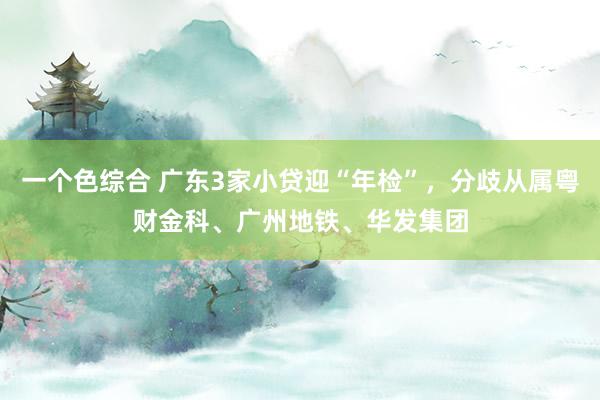 一个色综合 广东3家小贷迎“年检”，分歧从属粤财金科、广州地铁、华发集团