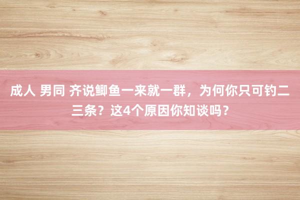 成人 男同 齐说鲫鱼一来就一群，为何你只可钓二三条？这4个原因你知谈吗？