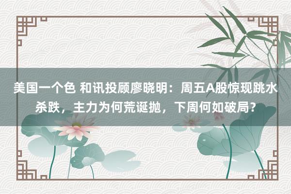 美国一个色 和讯投顾廖晓明：周五A股惊现跳水杀跌，主力为何荒诞抛，下周何如破局？