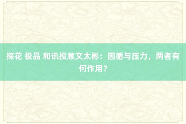 探花 极品 和讯投顾文太彬：因循与压力，两者有何作用？