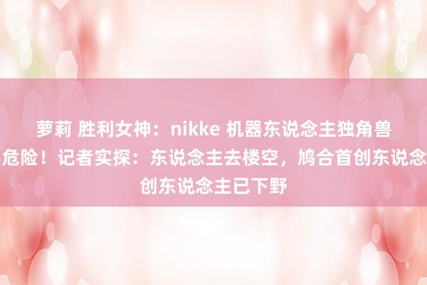 萝莉 胜利女神：nikke 机器东说念主独角兽深陷停摆危险！记者实探：东说念主去楼空，鸠合首创东说念主已下野