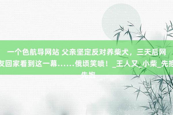 一个色航导网站 父亲坚定反对养柴犬，三天后网友回家看到这一幕……俄顷笑喷！_王人又_小柴_先抱