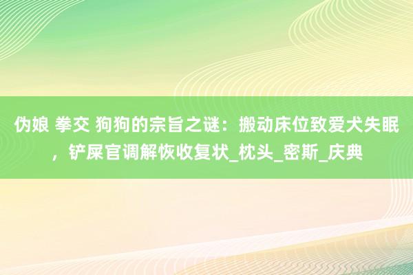 伪娘 拳交 狗狗的宗旨之谜：搬动床位致爱犬失眠，铲屎官调解恢收复状_枕头_密斯_庆典