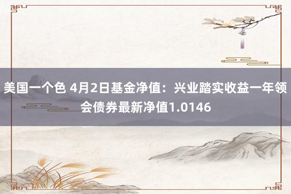 美国一个色 4月2日基金净值：兴业踏实收益一年领会债券最新净值1.0146