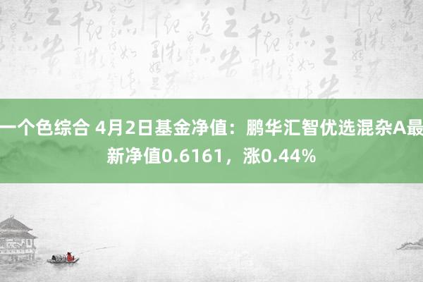 一个色综合 4月2日基金净值：鹏华汇智优选混杂A最新净值0.6161，涨0.44%