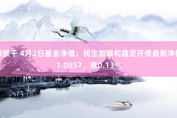 狠狠干 4月2日基金净值：民生加银和鑫定开债最新净值1.0857，涨0.13%