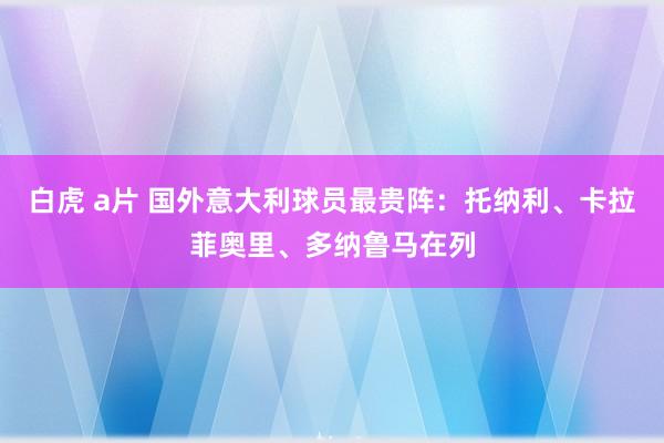 白虎 a片 国外意大利球员最贵阵：托纳利、卡拉菲奥里、多纳鲁马在列