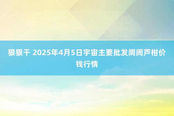 狠狠干 2025年4月5日宇宙主要批发阛阓芦柑价钱行情